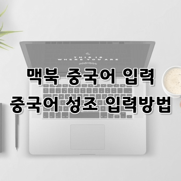 맥북 중국어 입력 및 성조 입력방법