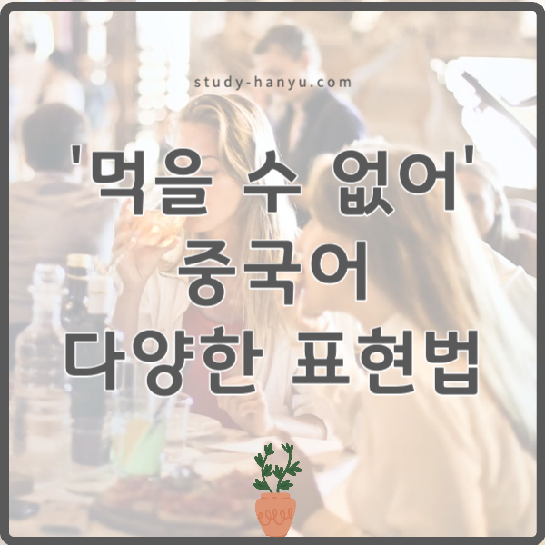 먹을 수 없다 중국어 다양한 표현법