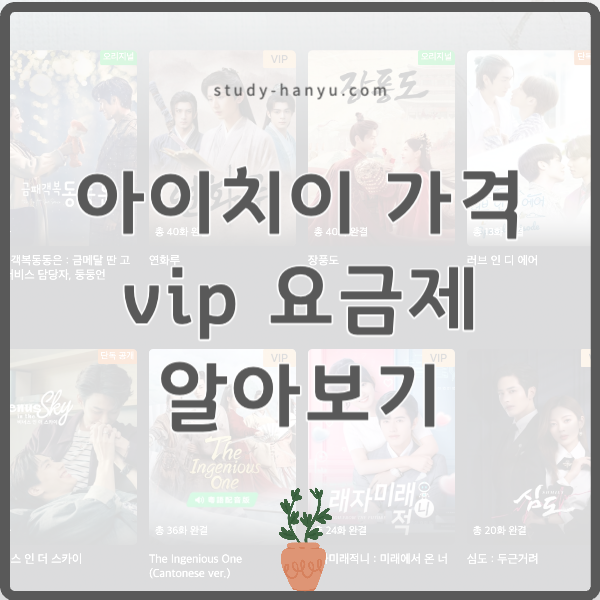 아이치이 가격과 vip 요금제 알아보기